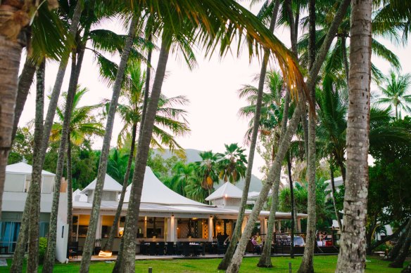 Nu Nu in Palm Cove.