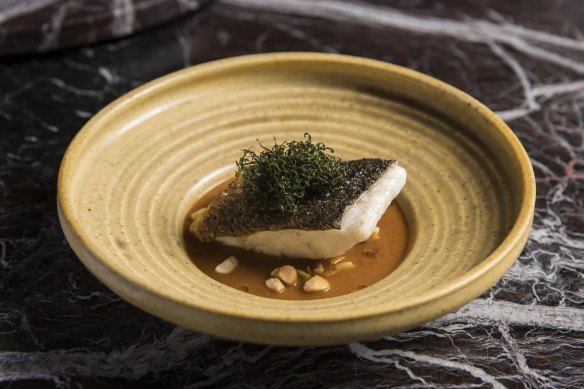 Murray cod with native curry and saltbush.