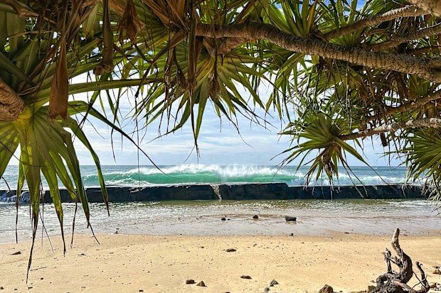 Yamba