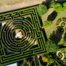 Planted in 2016, today the maze is thriving.