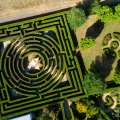 Planted in 2016, today the maze is thriving.