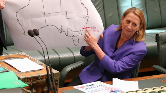 Sharon Bird, pictured in Parliament in 2015, will not recontest her seat after almost two decades.