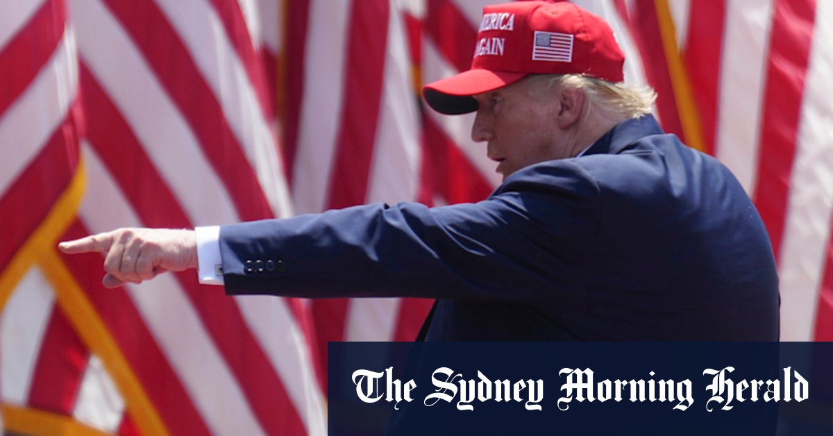 Trump verspricht, Ausweisvorschriften für alle Wähler einzuführen.
