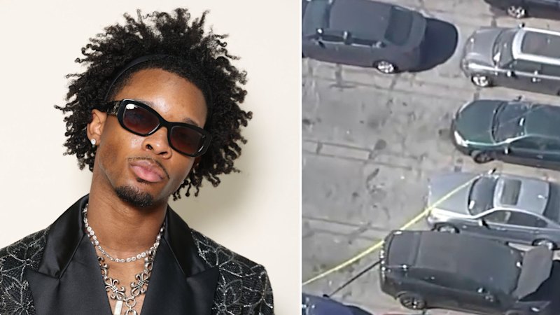 Missing Teen’s ‘severely Decomposed’ Body Found in Impounded Tesla ...