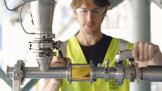 Gage Roads head brewer Ross Brown keeps an eye on the Pipe Dreams Coastal Lager.