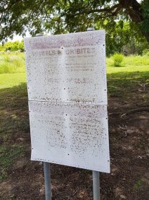 A faded crocodile sign in Kakadu National Park.