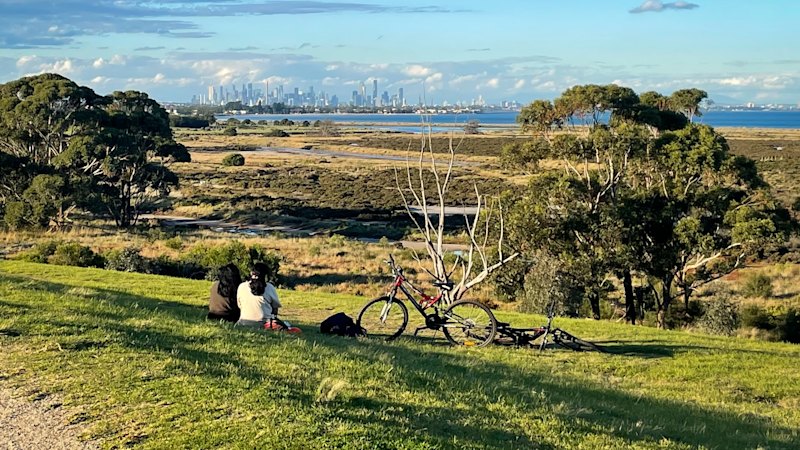 My coastal suburb is a destination for birds but the human population is shrinking