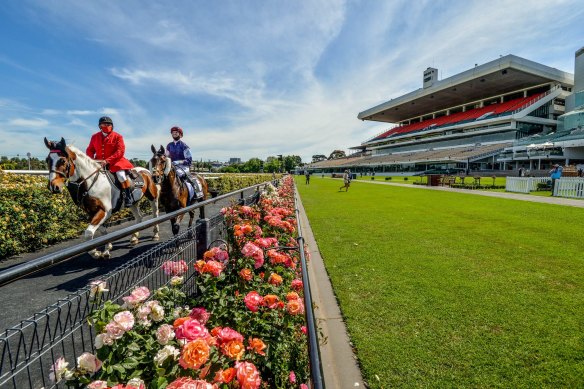 There were no crowds at the Melbourne Cup last year.