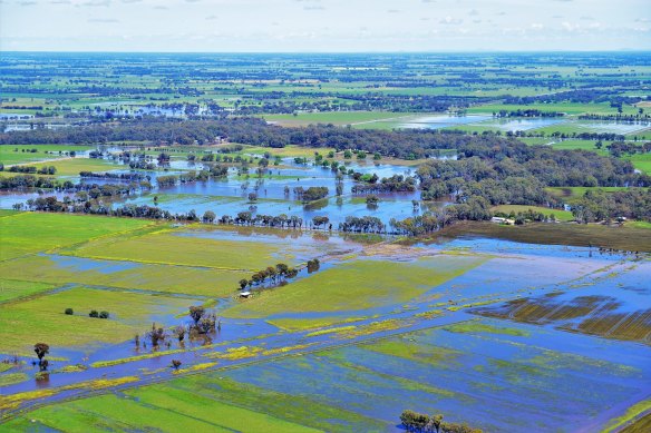  An aerial view of flooded farmland heading south from Echuca to Rochester.  