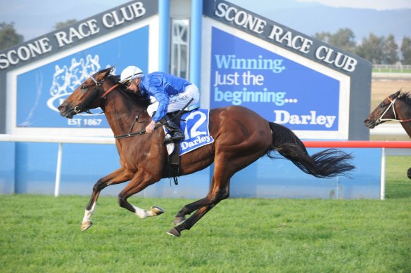 Racing returns to Scone on Friday with a seven-race card.
