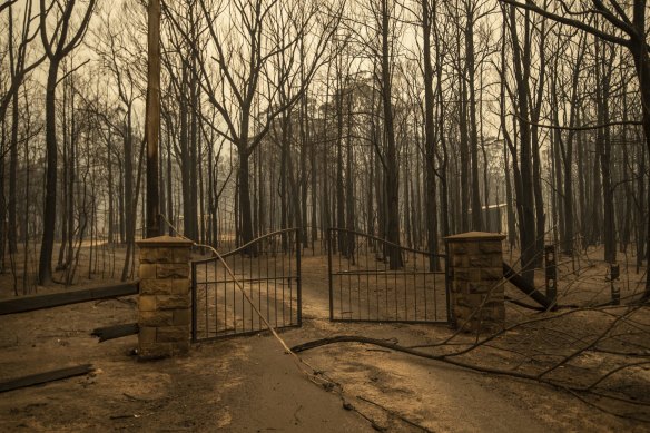  Destruction from the Currowan fire on Tallowa Dam Rd in Kangaroo Valley. 