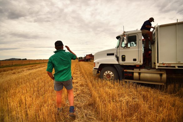 Australian wheat could be a winner from the US-China trade war.