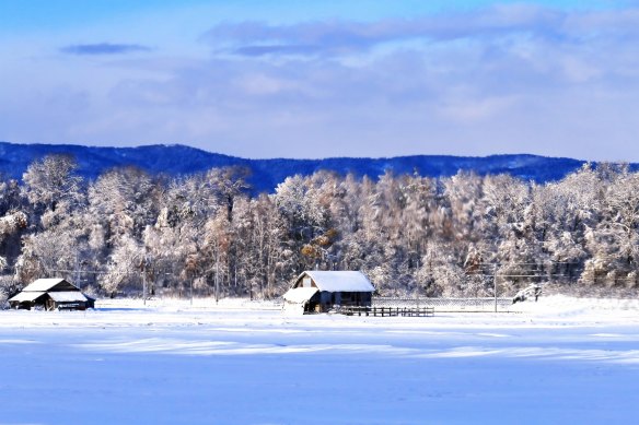 Focused on nature: Hokkaido, Japan.
