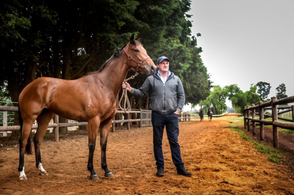 Darren Weir has opened up his Baringhup property for horses affected by the bushfires. Pictured with Melbourne Cup winner Prince Of Penzance.