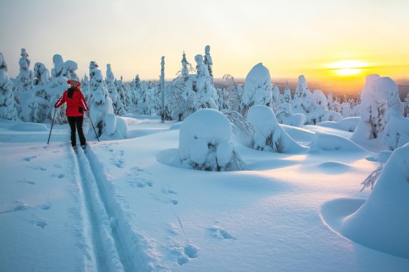 Fresh powder at Finnish Lapland.