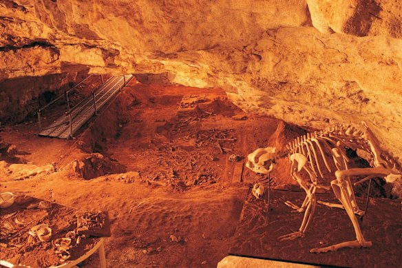 Stretching back to the arrival of humans: Naracoorte Mammal Fossil Sites, South Australia.