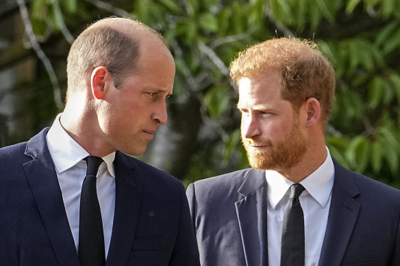 Princes William and Harry have famously fallen out in recent years.