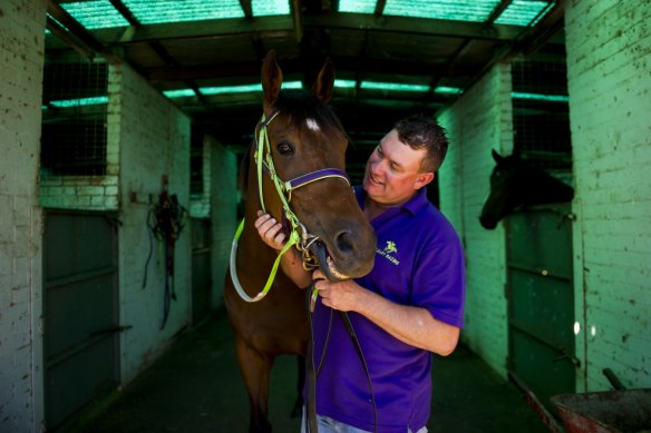 Trainer Joe Cleary will have a strong hand again on his home track.