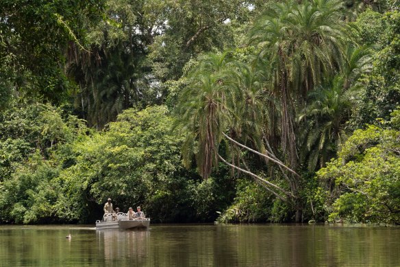 The Congo is still one of the most biodiverse parts of the planet.