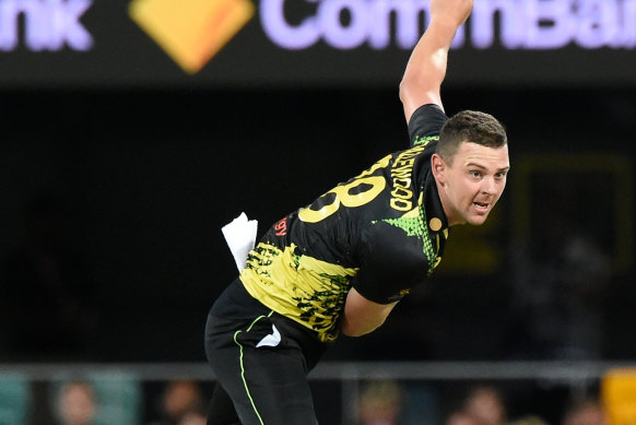 Josh Hazlewood in action during the T20 World Cup.