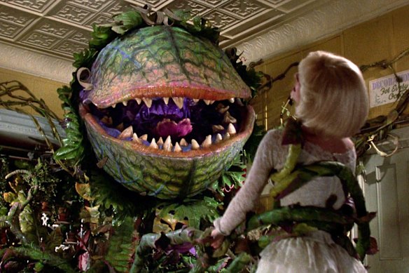 Operating the ginormous Audrey II puppet in Little Shop of Horrors was no easy feat.