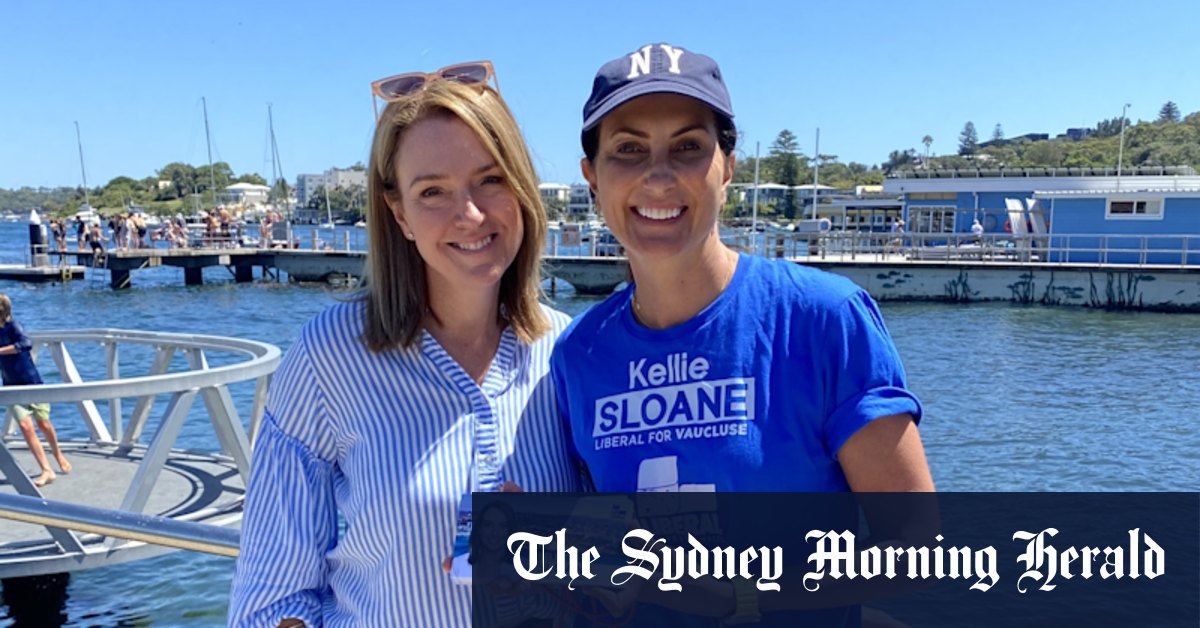 NSW election 2023: Development divides Liberal voters in Sydney's east - Vimarsana News