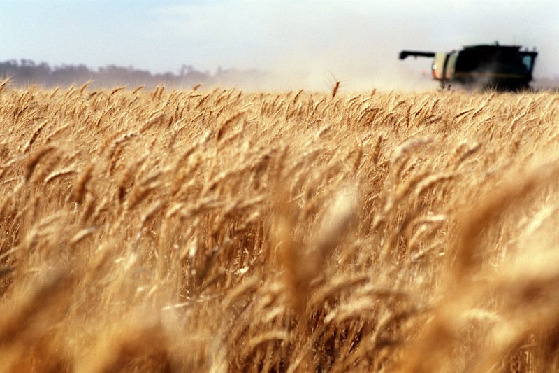 Mormons broaden horizons with $38m NSW farm deal