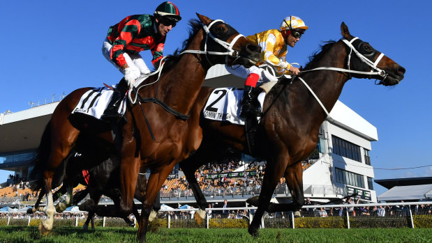 Golden moment: Michael Walker pushes Comin' Through past stablemate Egg Tart to win the Doomben Cup.