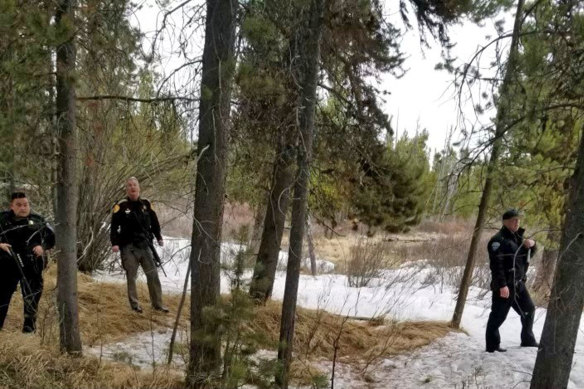 Officers search the site of the grizzly bear mauling just outside Yellowstone. 