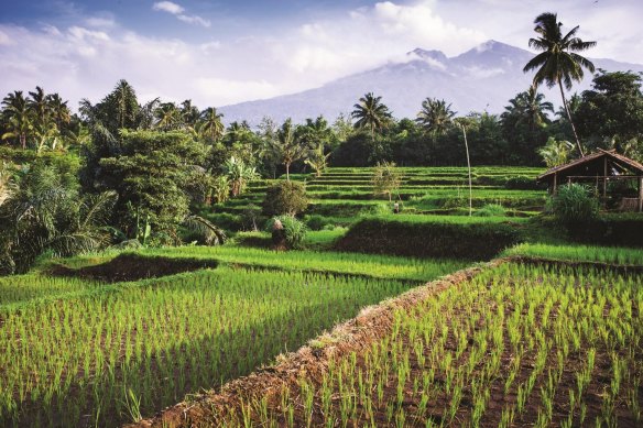 Lombok has everything Bali offers, without the crowds.