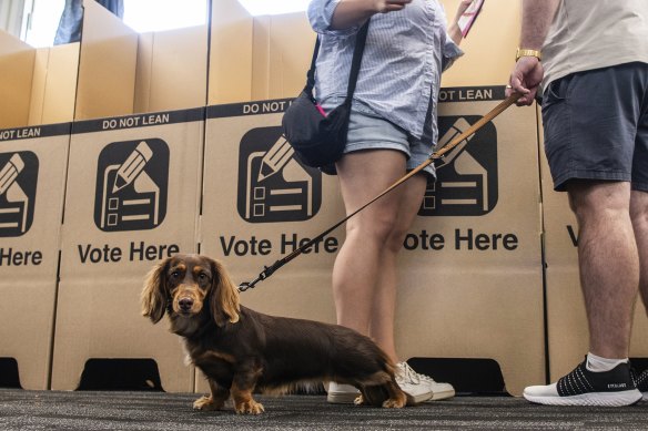 A private company ran the election in  two local government areas last weekend.