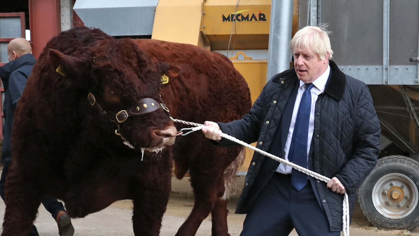 British Prime Minister Boris Johnson leads a bull around a pen as he visits Darnford Farm in Banchory near Aberdeen, Scotland, on Friday.