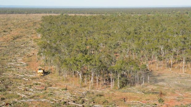 Land clearing in Queensland.