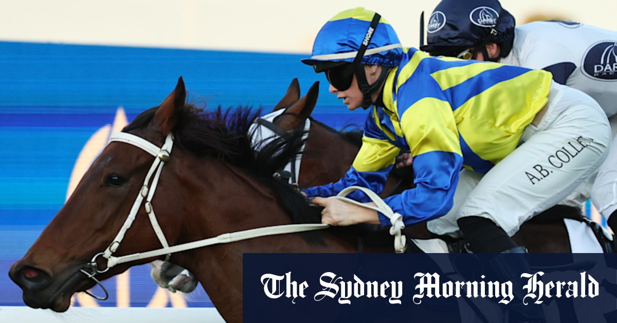 Ryan eyes more Rosehill success with ‘sensational’ Lady Extreme