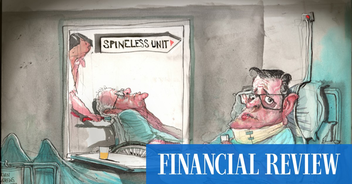 AFR scoops, podcast, cartoon are Walkley Awards finalists - Vimarsana News
