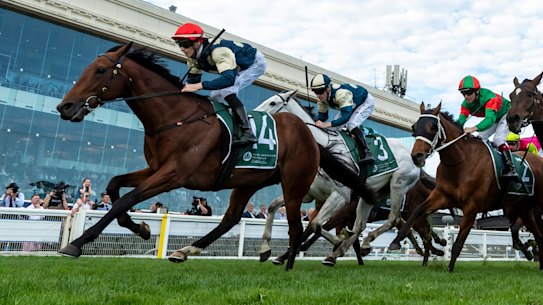 Ethan Brown has passed up the chance to ride Jimmystar in The Everest to partner Zahrann in the Caulfield Cup.