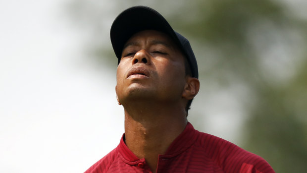 So close: Tiger Woods was right in the hunt as his encouraging form continued.