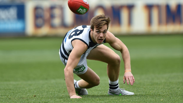 Injury plagued: Geelong's Cory Gregson injured his foot in the match against St Kilda.
