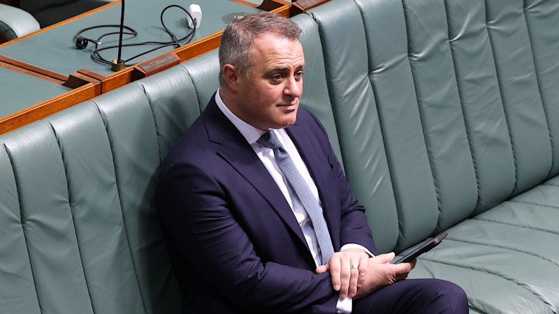 ‘We can win’: Tim Wilson says there’s one key reason voters will punish Albanese