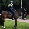1400 police prepare to disrupt anti-lockdown protest in Sydney