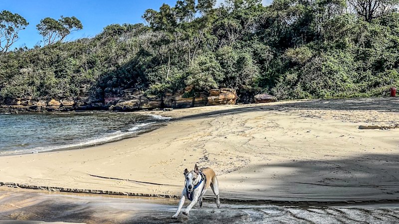 Celebrity drop-ins, lions roaring, the city’s hum: My favourite beach shall remain a mystery