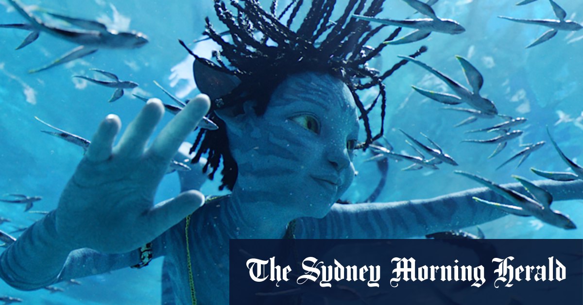 Avatar 2 review: Everything you need to know The Way of Water - Vimarsana News