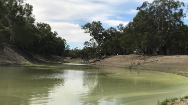 The Darling River is suffering.