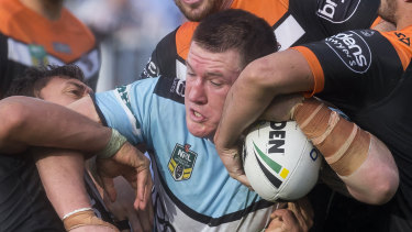 Paul Gallen is one NRL star owed unpaid fees from the collapsed start-up. 