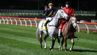 Last goodbye: Tommy Berry waves to the crowds after Chautauqua refused to jump again.