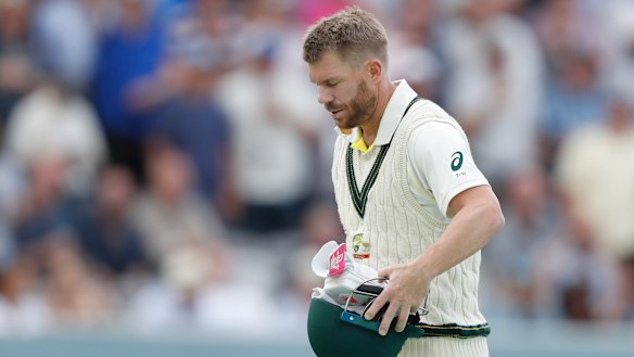 David Warner has had a forgettable series with the bat so far.