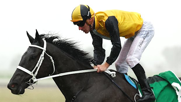 Rory Hutchings riding Unusual Legacy to victory for Chris Waller at Scone on May 18, 2024.