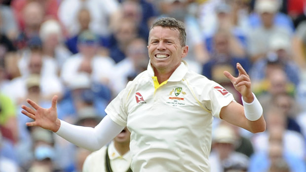 Celebrating experience: Peter Siddle inside his historic bubble of skill at Edgbaston. 