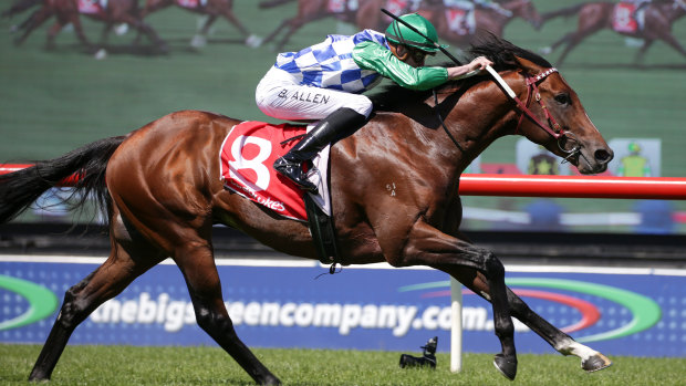 Fifty Stars, with jockey Ben Allen aboard, takes out the Araza Sandown Stakes.