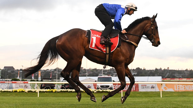 The horse that Murphy aims to beat - mighty mare Winx at Moonee Valley on Tuesday morning.
